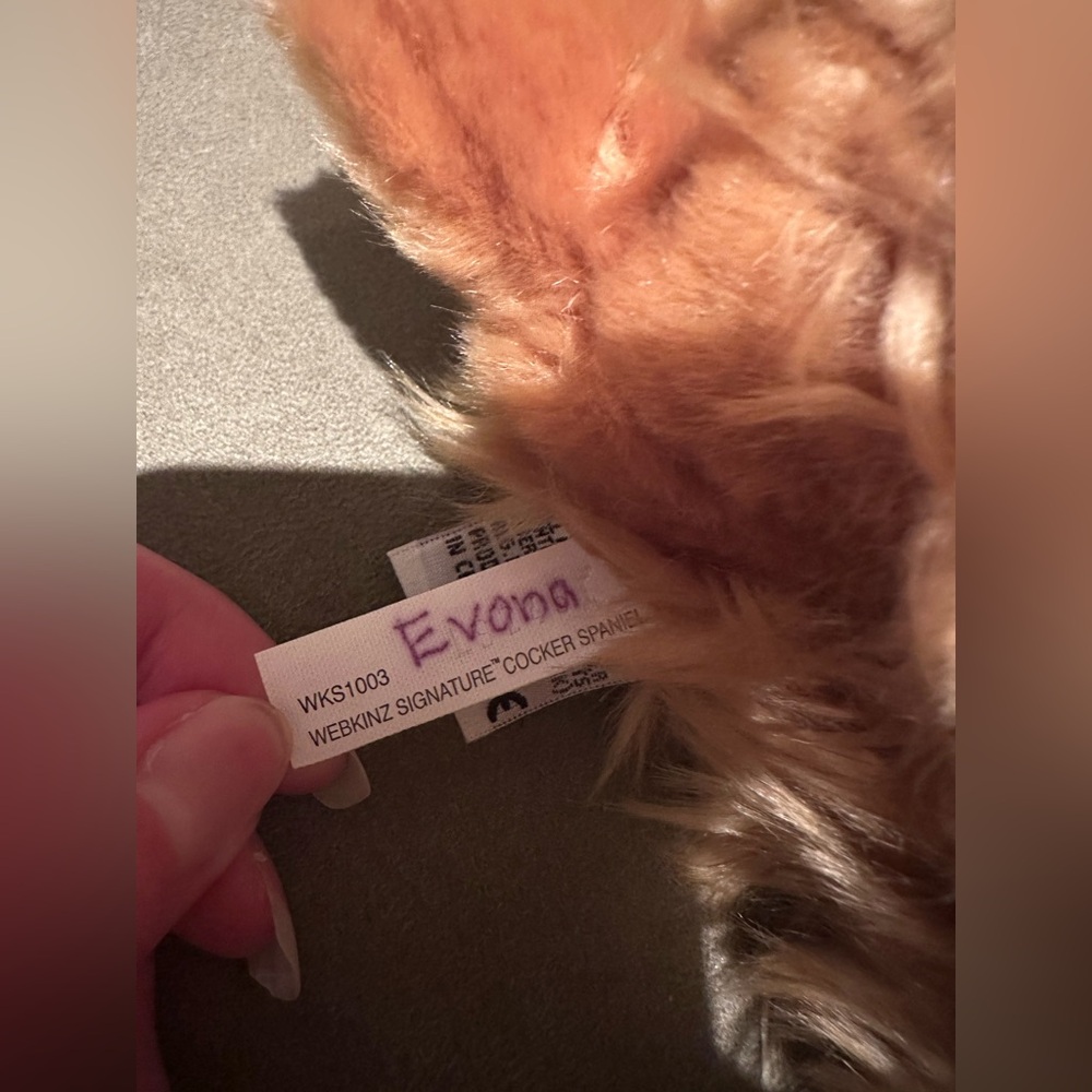 Webkinz Signature Cocker Spaniel Plush (no code) - Picture 8 of 8